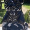 petit chien noir – Image 5