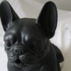 petit chien noir – Image 4